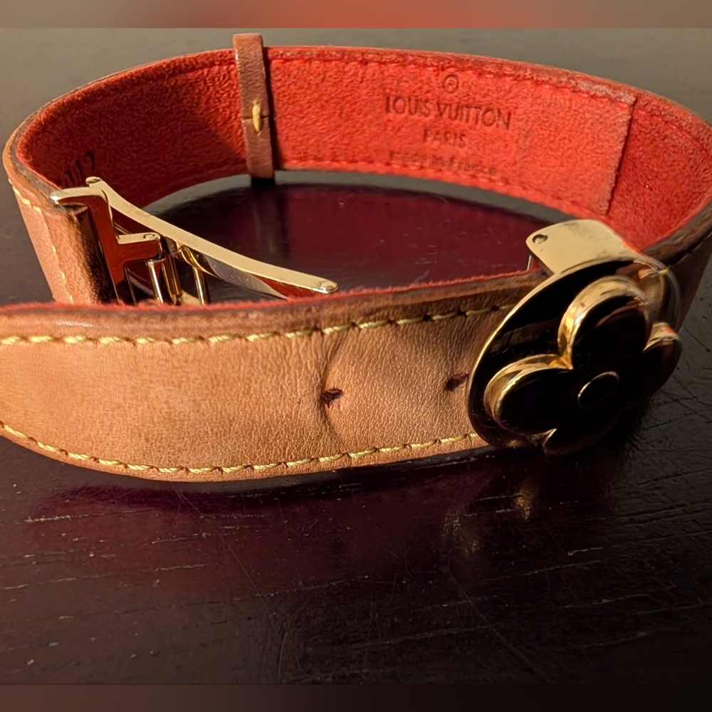 Gorgeous Louis Vuitton Paris Leather LV Good Luck Series - Picture 6 of 13